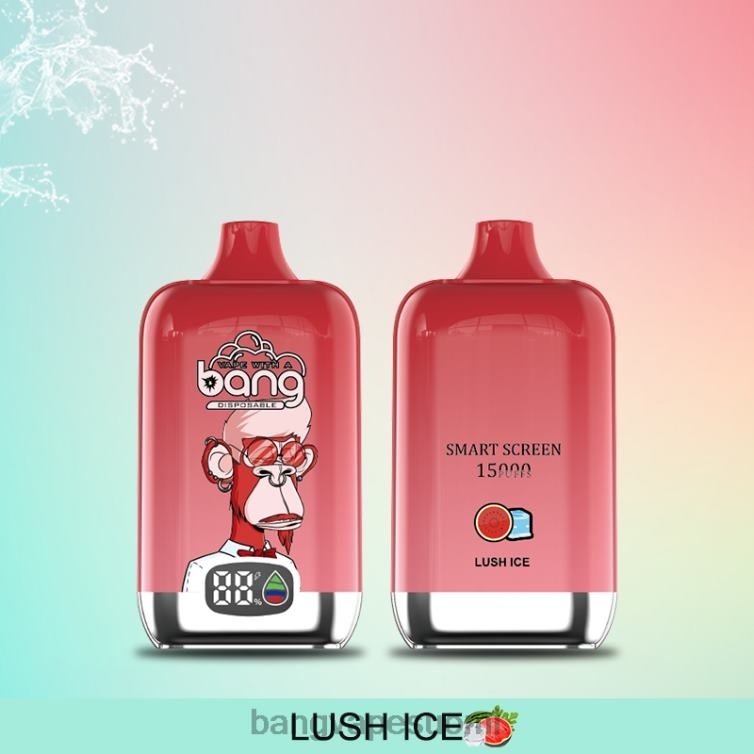 D0X2X11 Bang Vape Digital Smart Screen 15 000 hengittämistä 25 ml kertakäyttöinen | Bang Vape Suomi