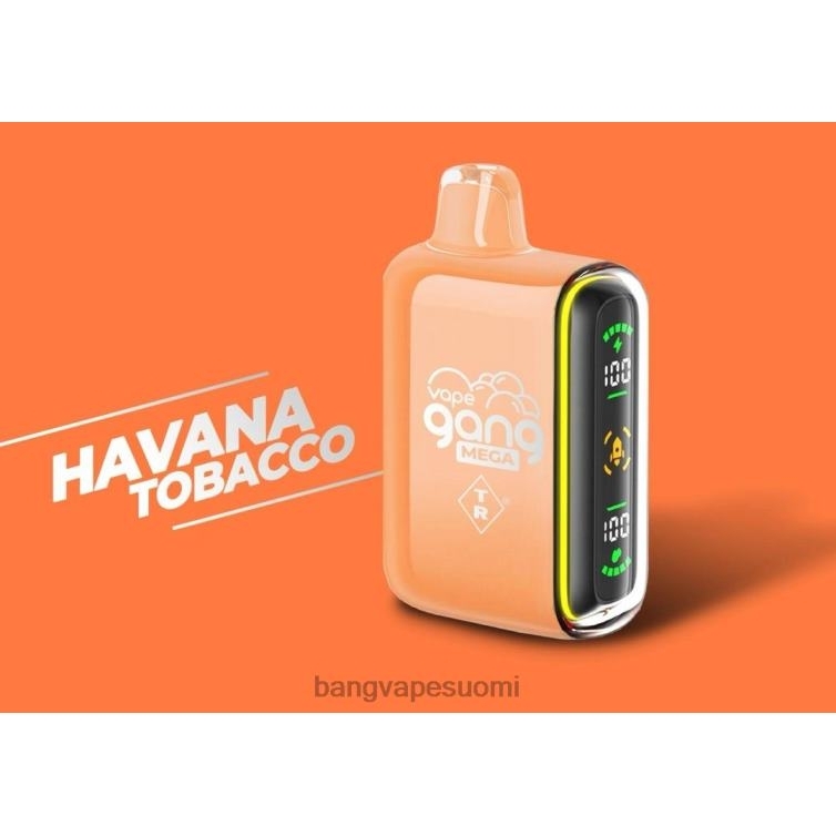 D0X2X55 Vape Gang MEGA 20 000 kertakäyttöistä höyryä (5 kpl laatikko) havannan tupakka | Vape Gang Helsinki