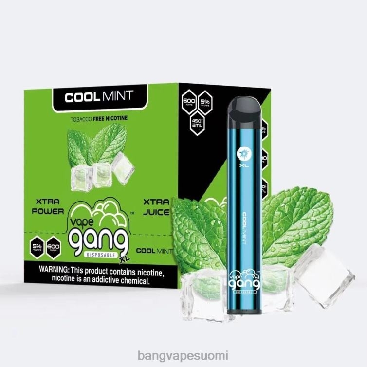 D0X2X79 Vape Gang XL kertakäyttöiset höyryt 600 suihketta (10 kpl laatikko) viileä minttu | Vape Gang Mega Flavors